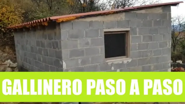 Como Hacer Un Gallinero Casero De Obra Actualizado Marzo 2024